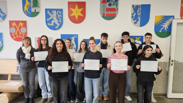 DELF – Diplome im SJ 24-25