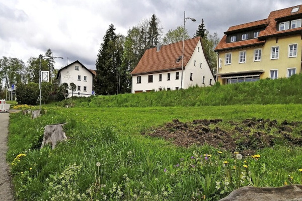 Naturparkschule legt Blühflächen auf ungenutztem Grundstück an
